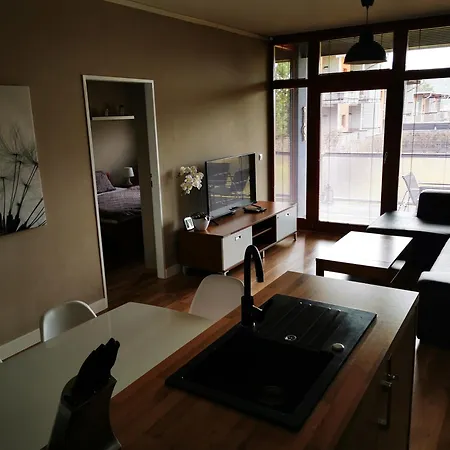 Doky Lipno A9 A D1 Apartment *
