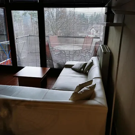 Doky Lipno A9 A D1 Apartment *