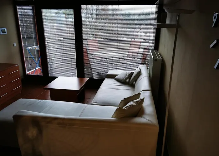 Doky Lipno A9 A D1 Apartmán *