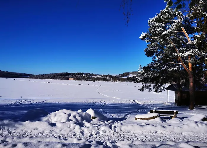 Doky Lipno A9 A D1 Apartmán