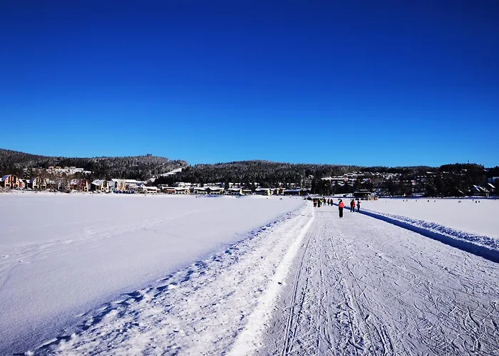 Doky Lipno A9 A D1 Apartmán